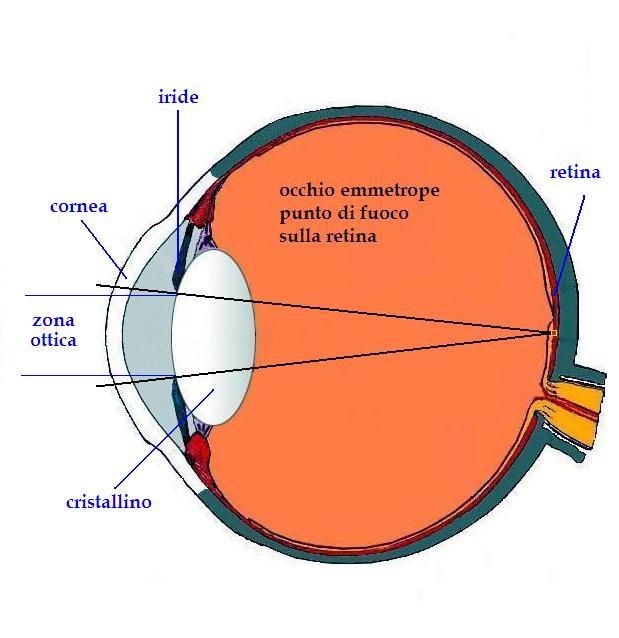 immagine di un occhio emmetrope